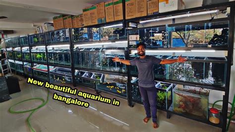 aquarium online bangalore